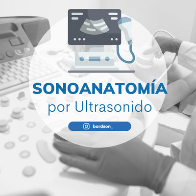 ¿Qué es la sonoanatomía y como se presenta en el ultrasonido