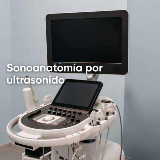 ¿Qué es la sonoanatomía y como se presenta en el ultrasonido